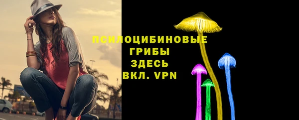 ешки Нефтегорск