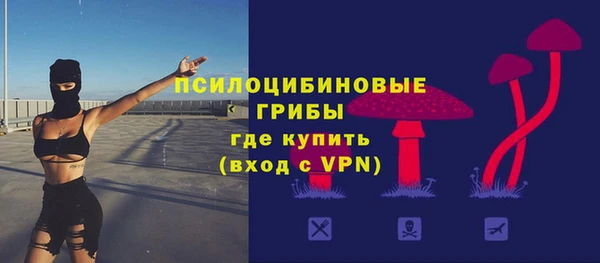 ешки Нефтегорск