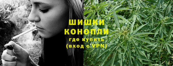 2c-b Надым