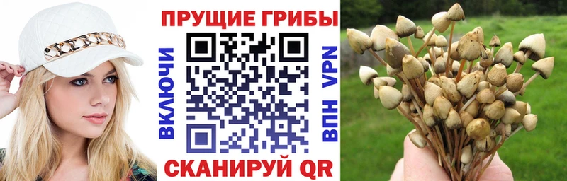 Галлюциногенные грибы прущие грибы  даркнет сайт  Углегорск 
